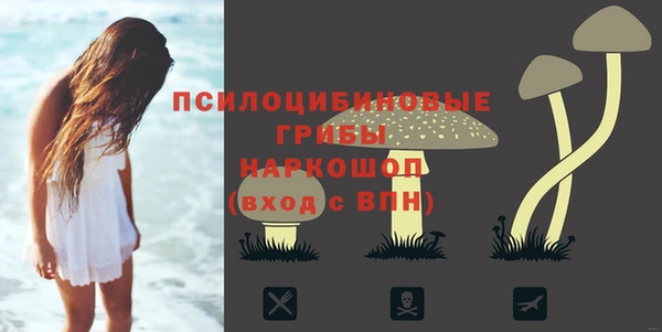 spice Белая Холуница