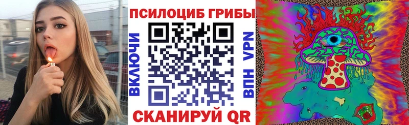 Псилоцибиновые грибы Psilocybe  Ессентукская 